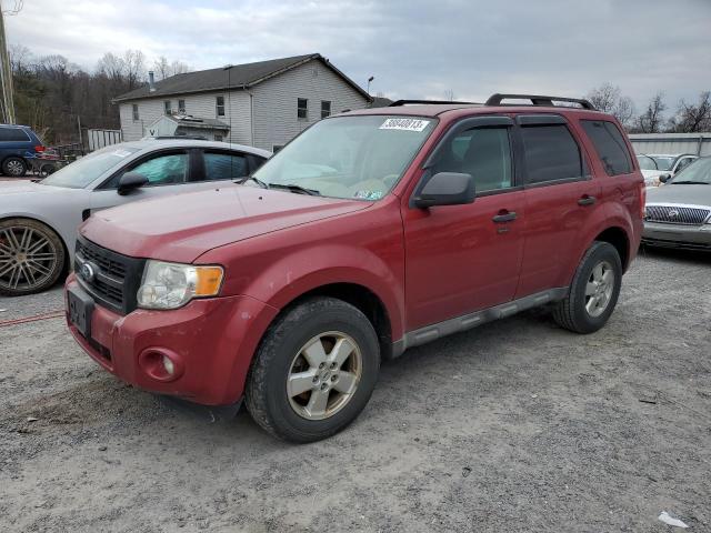 Salvage cars for sale from Copart York Haven, PA: 2009 Ford Escape XLT