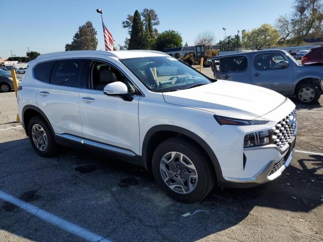 2022 HYUNDAI SANTA FE B - KM8S2DA17NU018590
