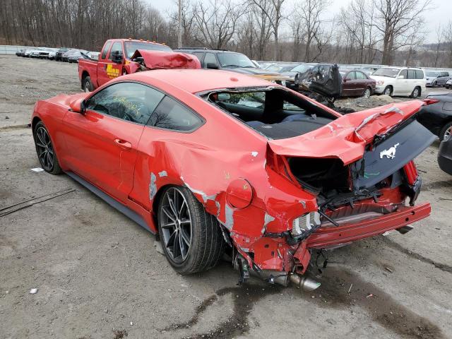 2019 FORD MUSTANG - 1FA6P8TH4K5165955