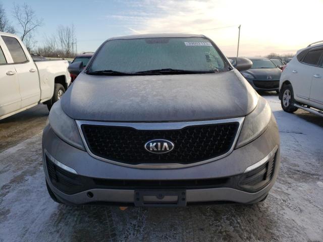 KNDPB3AC9G7879681 KIA Sportage
