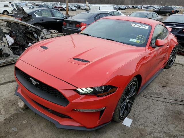 2019 FORD MUSTANG - 1FA6P8TH4K5165955