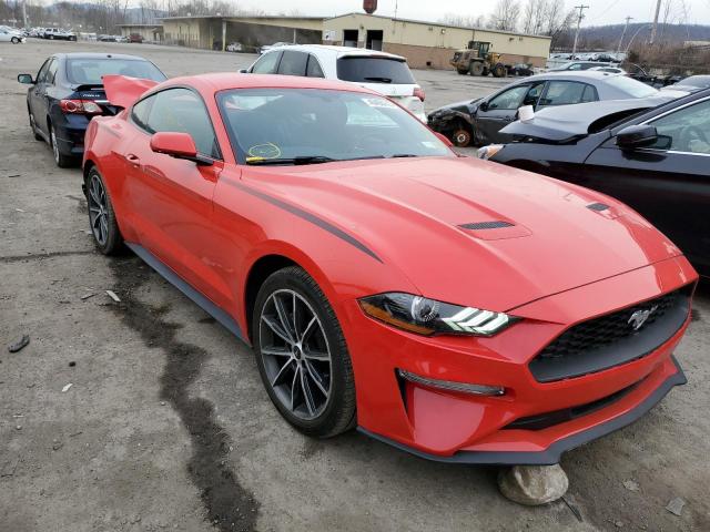 2019 FORD MUSTANG - 1FA6P8TH4K5165955