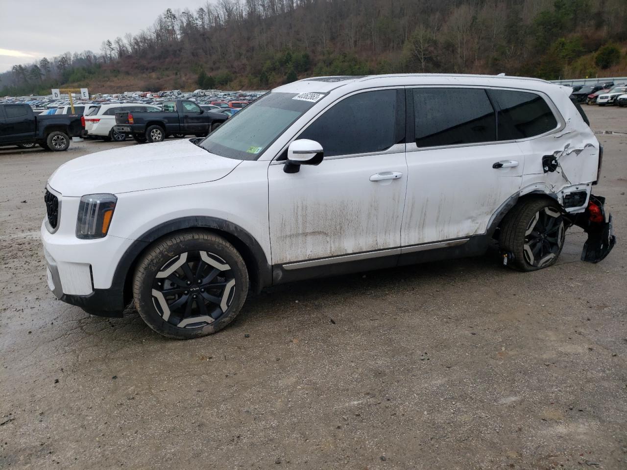 Kia Telluride Glacier White