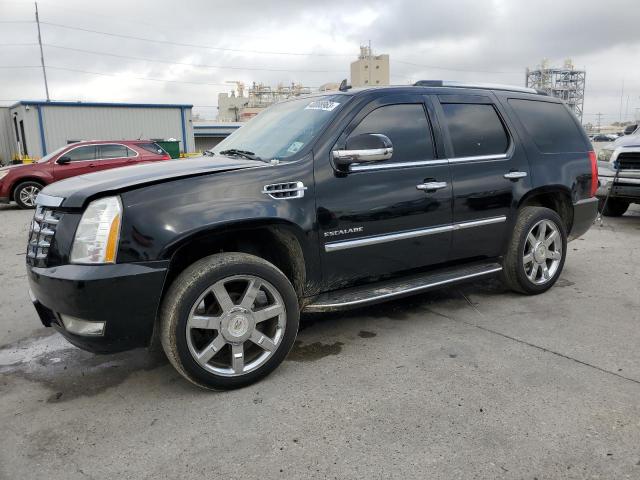 2011 Cadillac Escalade Luxury