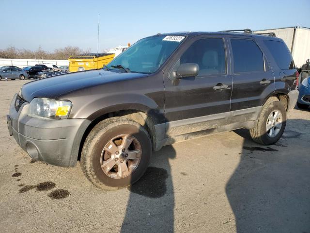 2007 Ford Escape XLT