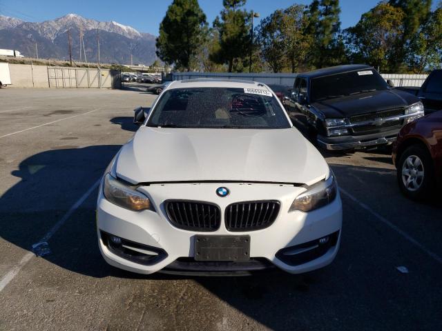 2015 BMW 228 I WBA1F5C56FV256725