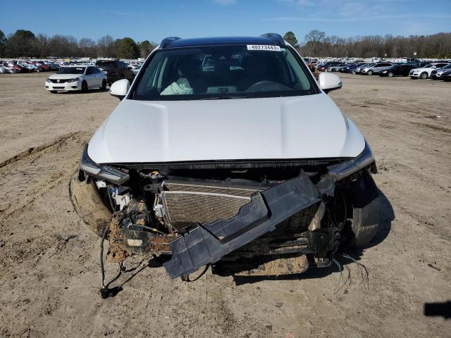 2019 HYUNDAI SANTA FE L - 5NMS53AD1KH077850