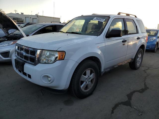 2009 Ford Escape XLT