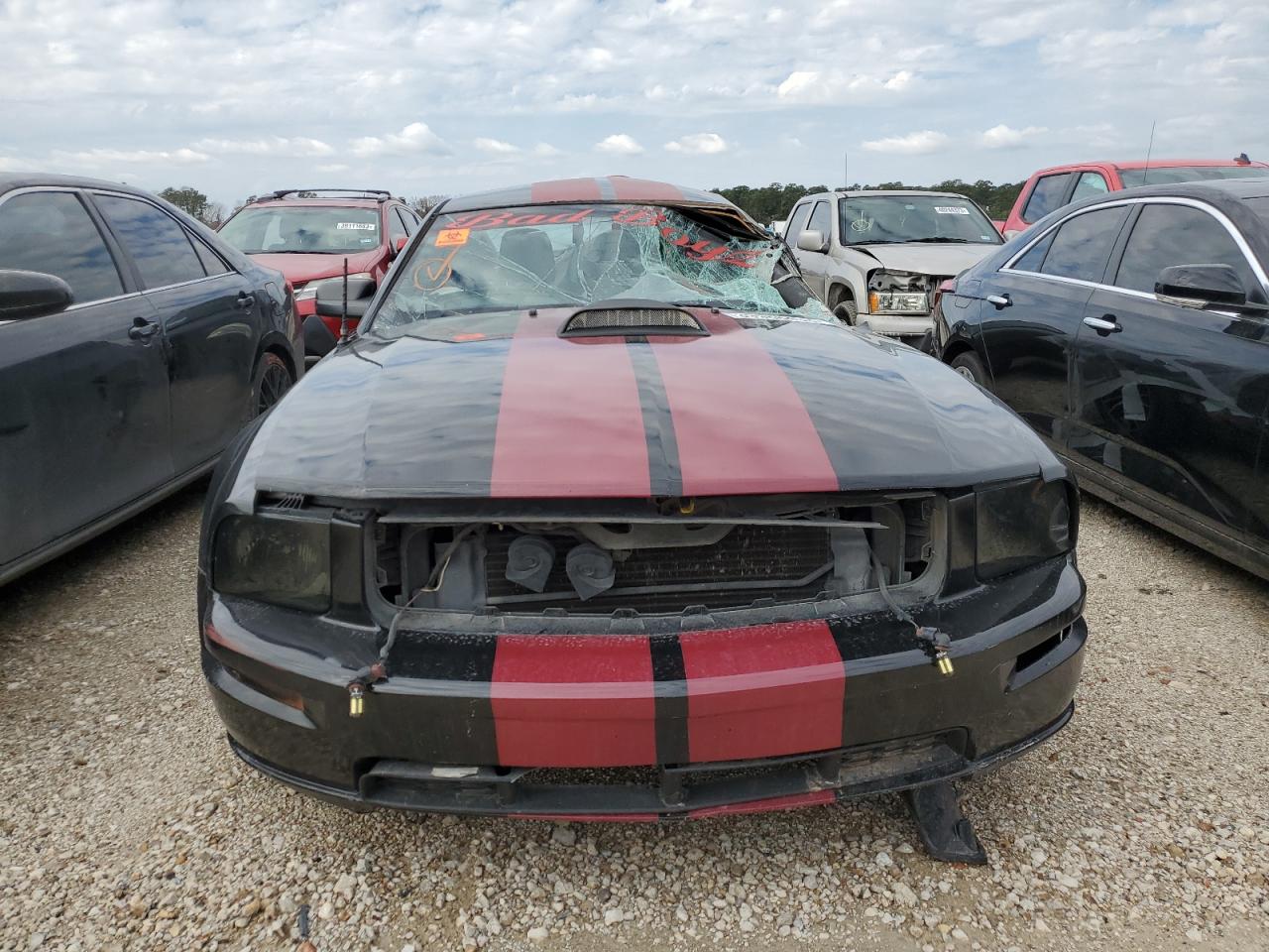 2005 Ford Mustang Gt VIN: 1ZVFT82H755161066 Lot: 39966453