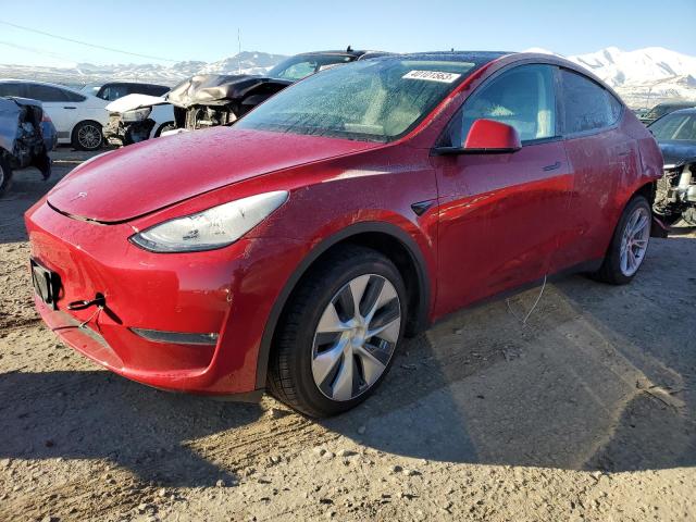 5YJYGDEF9LF006131 Tesla Model Y 