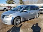 Lot #1938055659 2016 HONDA ODYSSEY SE