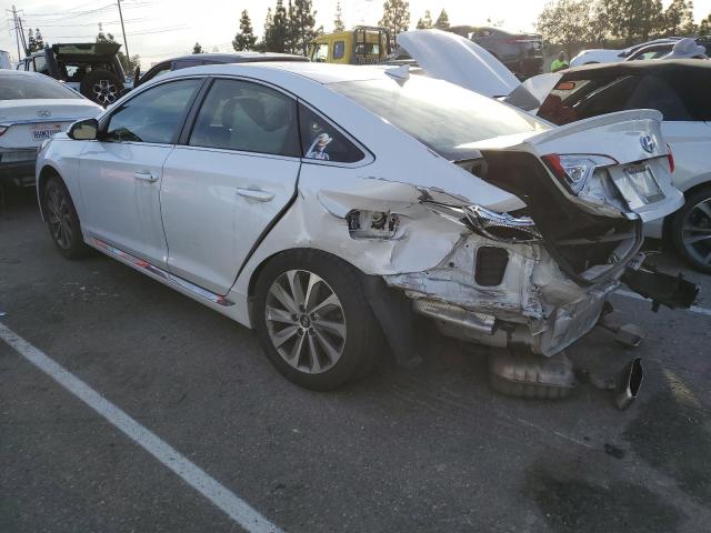 2015 HYUNDAI SONATA SPO - 5NPE34AF8FH101824