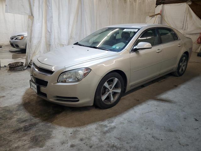 2009 Chevrolet Malibu 