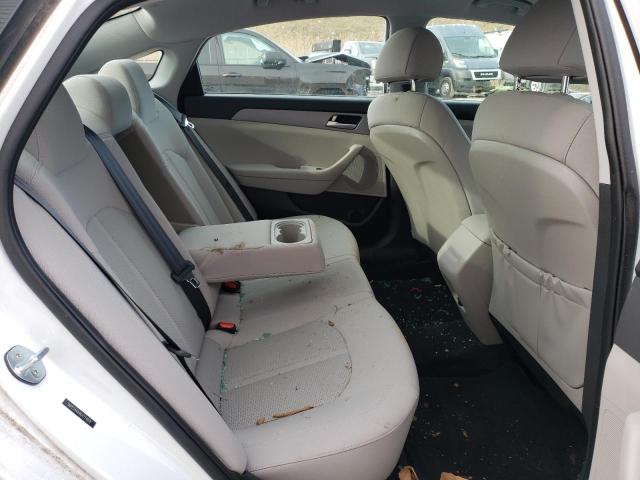 2019 HYUNDAI SONATA ECO - 5NPE24AA4KH774918