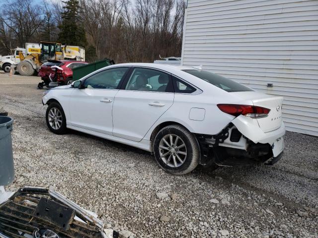 2019 HYUNDAI SONATA ECO - 5NPE24AA4KH774918