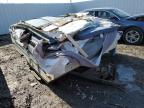 Salvage World Auctions