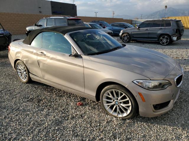 2015 BMW 228 I WBA1K5C52FV474043