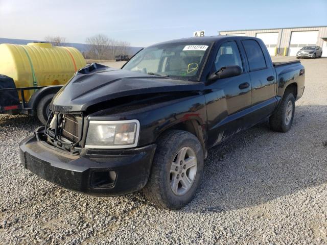 2010 Dodge Dakota 