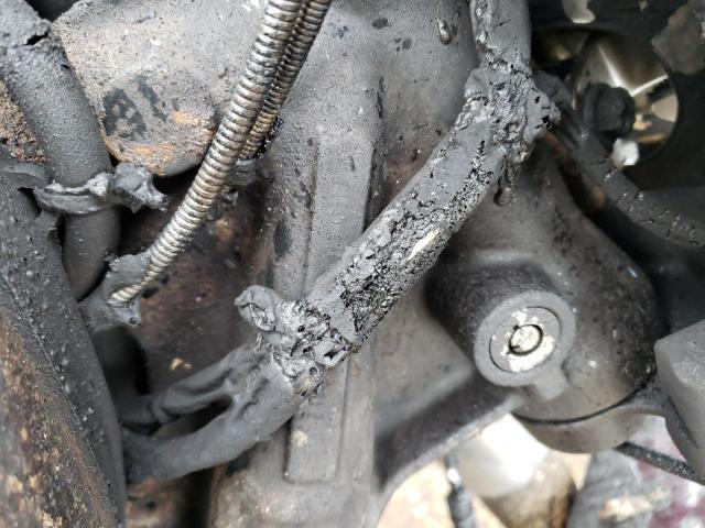 2005 HARLEY-DAVIDSON FLSTCI - 1HD1BWB195Y020102