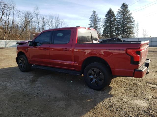 2023 FORD F150 LIGHT 1FTVW1EV0PWG03729