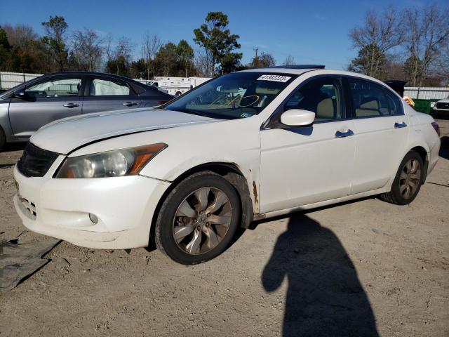 HONDA ACCORD EXL