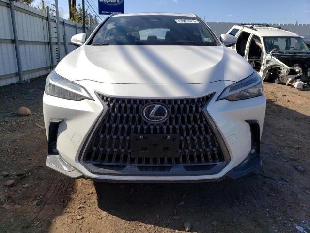 2022 LEXUS NX 350 JTJAGCEZXN5001639