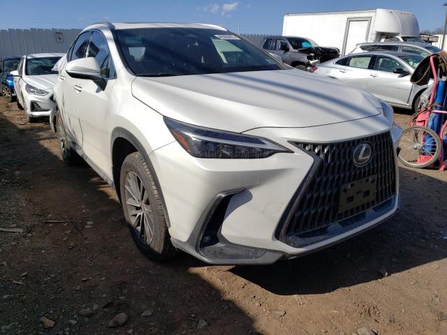 2022 LEXUS NX 350 JTJAGCEZXN5001639