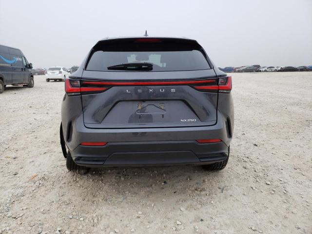 2023 LEXUS NX 250 - 2T2ADCAZ7PC003139