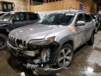 2019 JEEP CHEROKEE L - 1C4PJMDX4KD393619