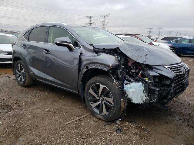 2019 LEXUS NX 300H - JTJBJRBZ7K2107525
