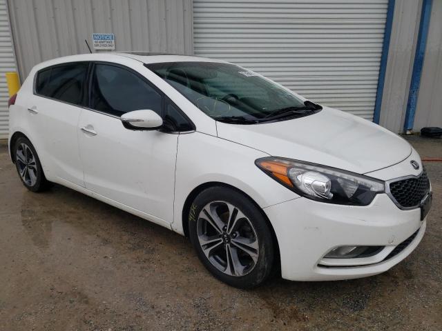 KNAFX5A8XG5629217 KIA FORTE EX