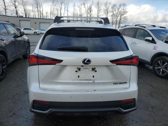2020 LEXUS NX 300H - JTJGJRDZ9L5000950