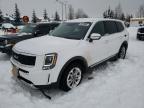 2022 KIA TELLURIDE - 5XYP2DHC7NG233728