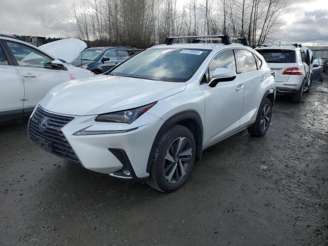 2020 LEXUS NX 300H - JTJGJRDZ9L5000950