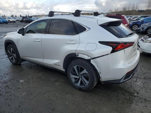 2020 LEXUS NX 300H - JTJGJRDZ9L5000950
