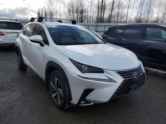 2020 LEXUS NX 300H - JTJGJRDZ9L5000950