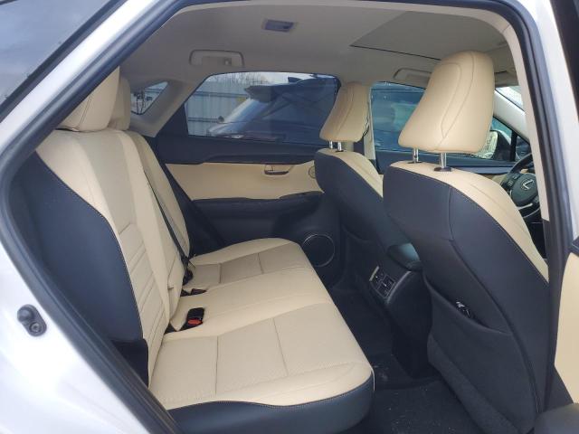 2020 LEXUS NX 300H - JTJGJRDZ9L5000950