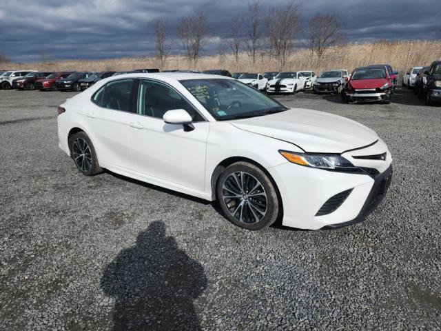 2019 TOYOTA CAMRY L - 4T1B11HK5KU175160