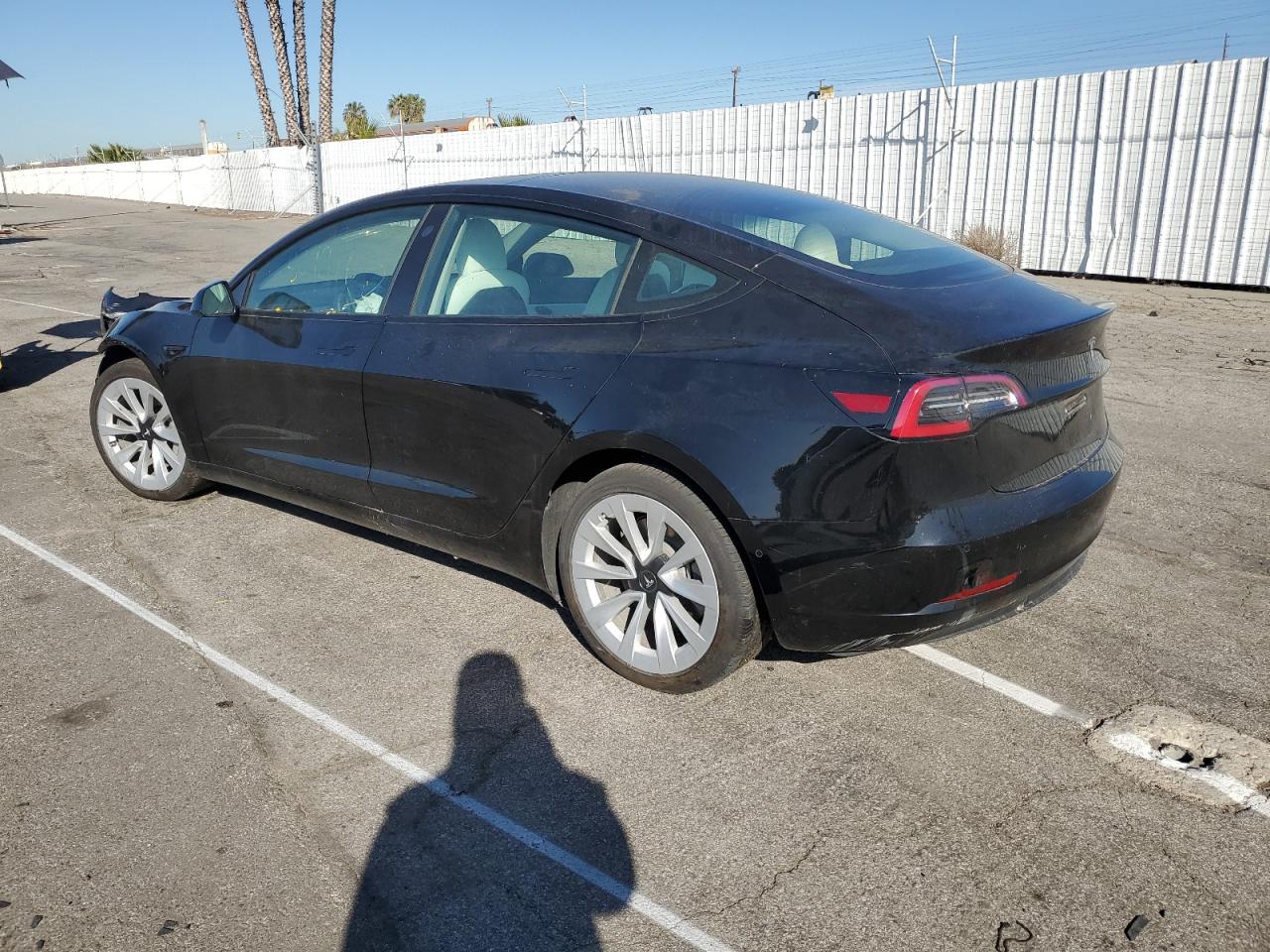 Lot #2991213116 2021 TESLA MODEL 3