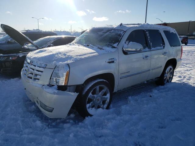 2011 Cadillac Escalade Luxury