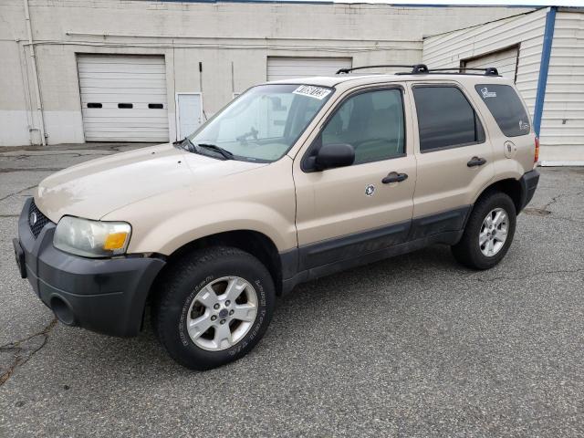 2007 Ford Escape XLT