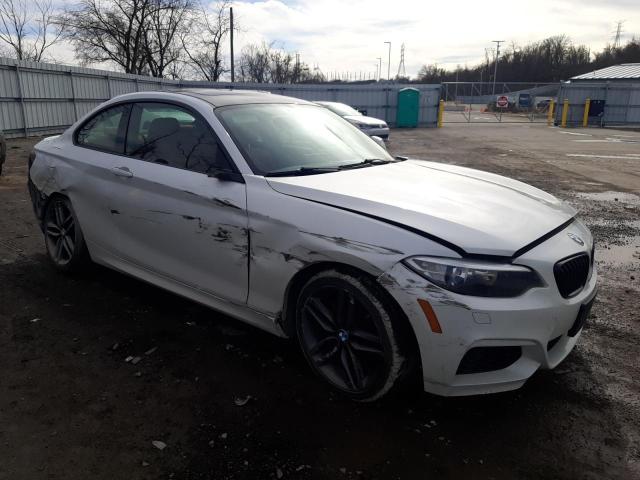 2016 BMW 228 XI SUL - WBA1G9C52GV599120