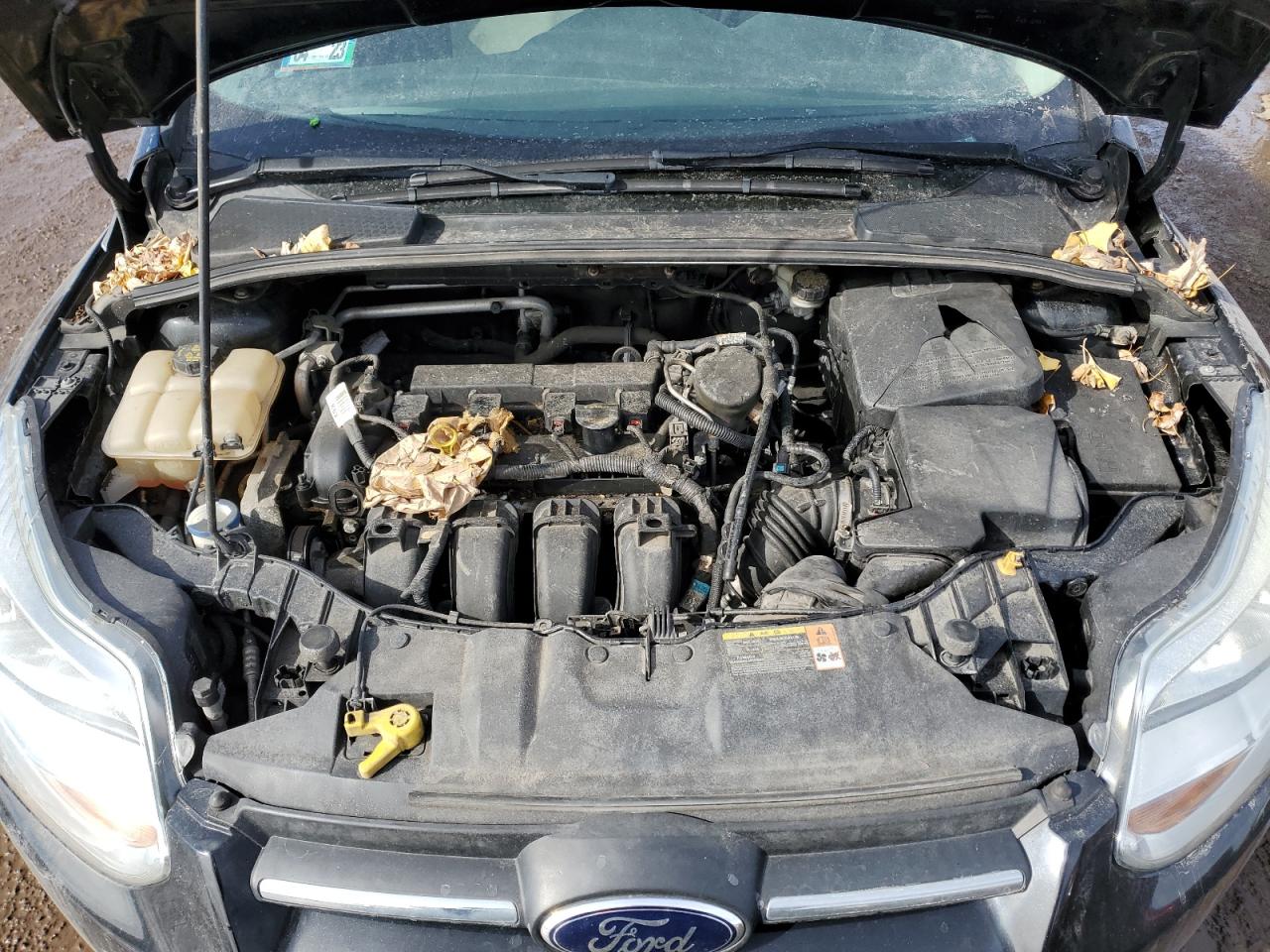 2014 Ford Focus Se VIN: 1FADP3F29EL231403 Lot: 70354573