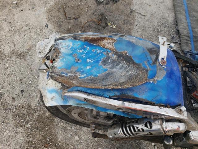 2006 HONDA 1800 - 1HFSC466X6A401180