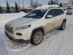 2018 JEEP CHEROKEE L - 1C4PJMCX0JD589461