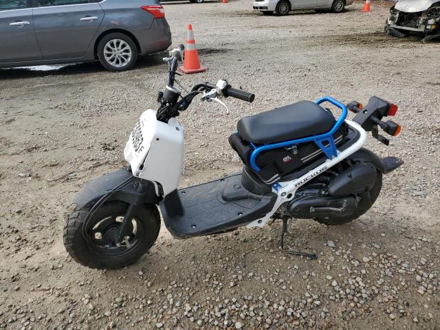 2023 HONDA NPS50 - JH2AF5814PK101738