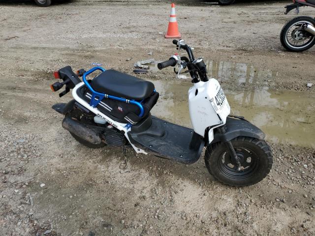 2023 HONDA NPS50 - JH2AF5814PK101738