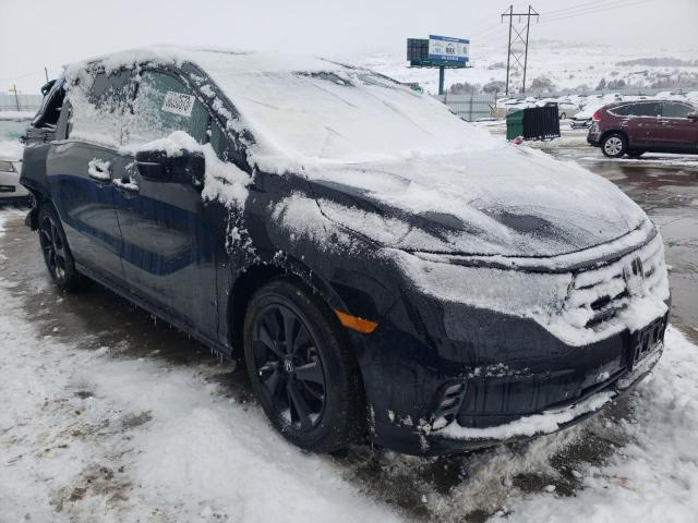 2023 HONDA ODYSSEY SP 5FNRL6H71PB013239