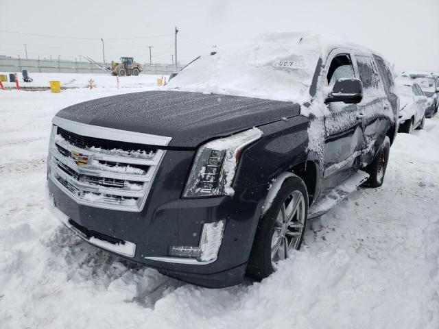 2016 Cadillac Escalade Luxury