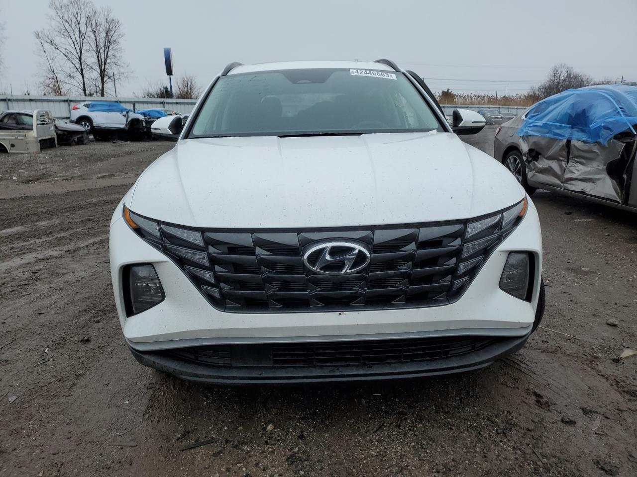 2022 Hyundai Tucson Sel VIN: 5NMJFCAE5NH159893 Lot: 53146514